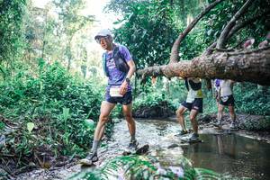 BIB: 
                            <button type="button" onclick="openModal(25434060)" class="btn btn-primary btn-sm float-right btn-popup" data-toggle="modal" data-target=".modal-high-quality">
                        <i class="fas fa-shopping-cart"></i> Add to Cart
                    </button>
                                            <button type="button" onclick="isThisMe(25434060, true)" class="btn btn-success btn-sm float-right btn-popup btn-isme hidden" data-toggle="tooltip" data-placement="bottom" title="นี่คือรูปของคุณใช่ไหม คลิกที่นี่เพื่อเอาเข้าอัลบั้ม">
                        <i class="fas fa-plus"></i> Add to album
                    </button>
                    <button type="button" onclick="isThisMe(25434060, false)" class="btn btn-warning btn-sm float-right btn-popup btn-isnotme hidden">
                        <i class="fas fa-ban"></i> Remove from album
                    </button>